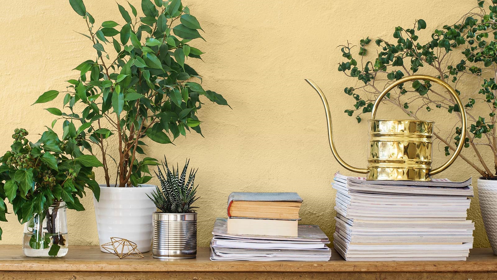 ”Distant Sunlight” ger hemmet ett varmt uttryck