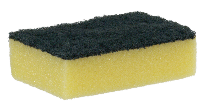 Hushållssvampar 6654