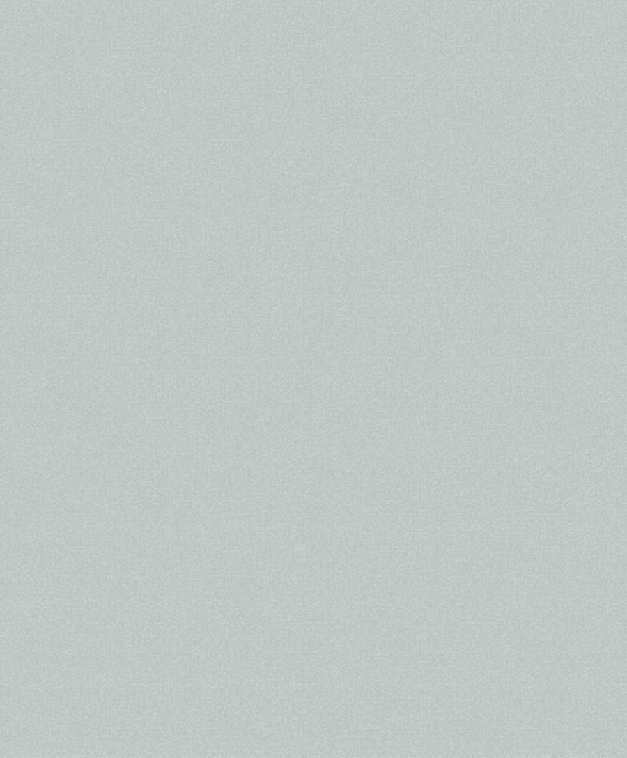 Fiona Linen Feeling 630105