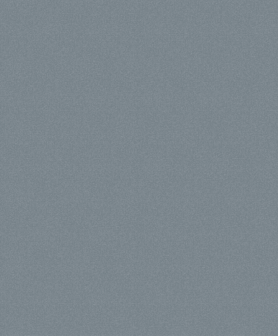 Fiona Linen Feeling 630108