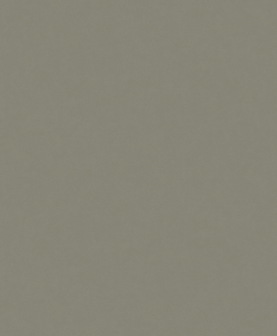 Fiona Concrete Experience 630424