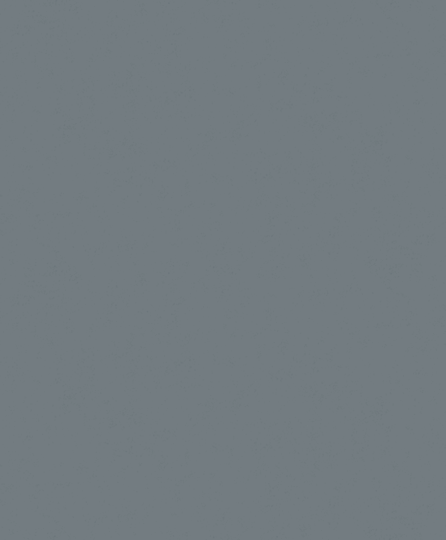 Fiona Concrete Experience 630425