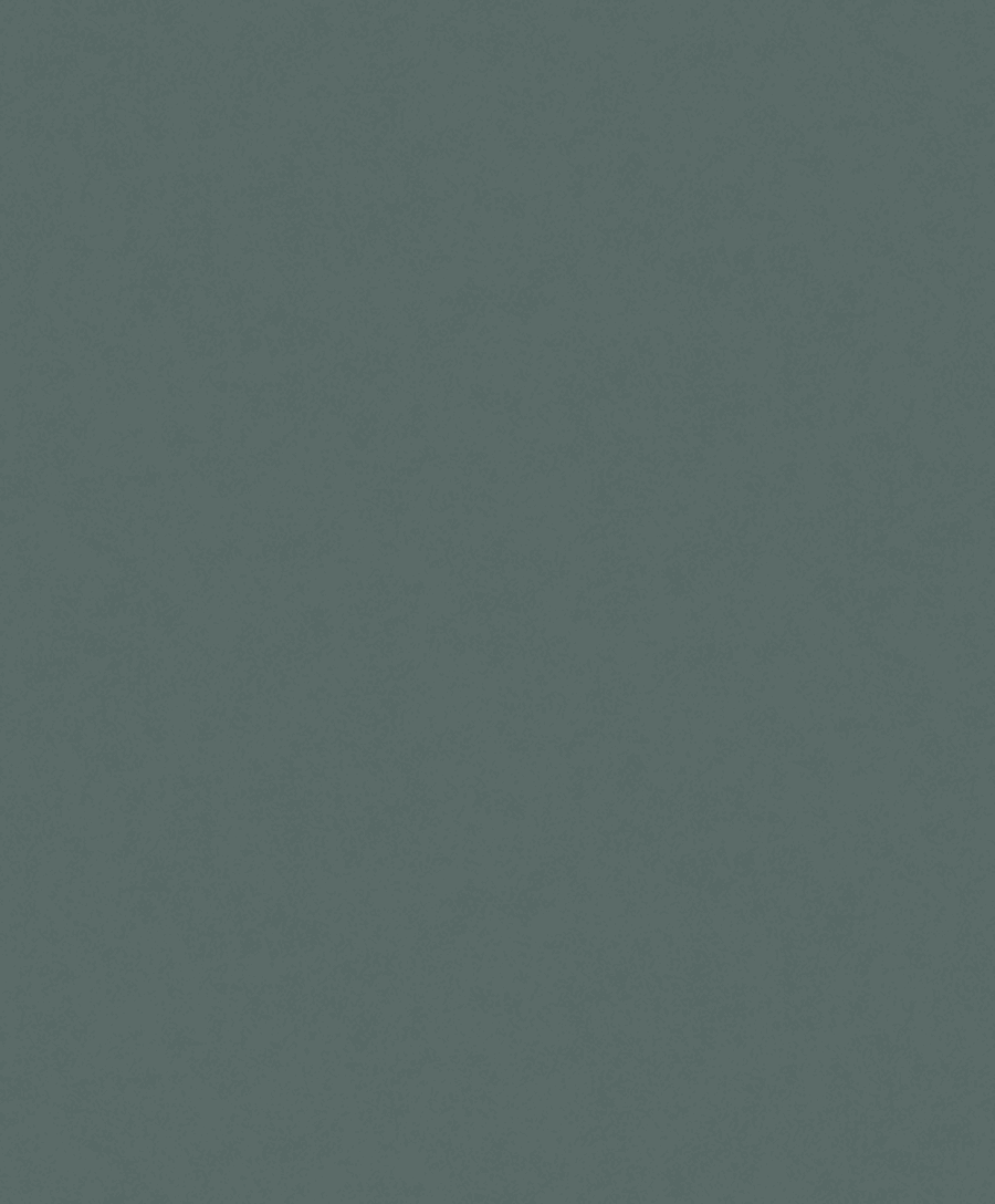 Fiona Concrete Experience 630427