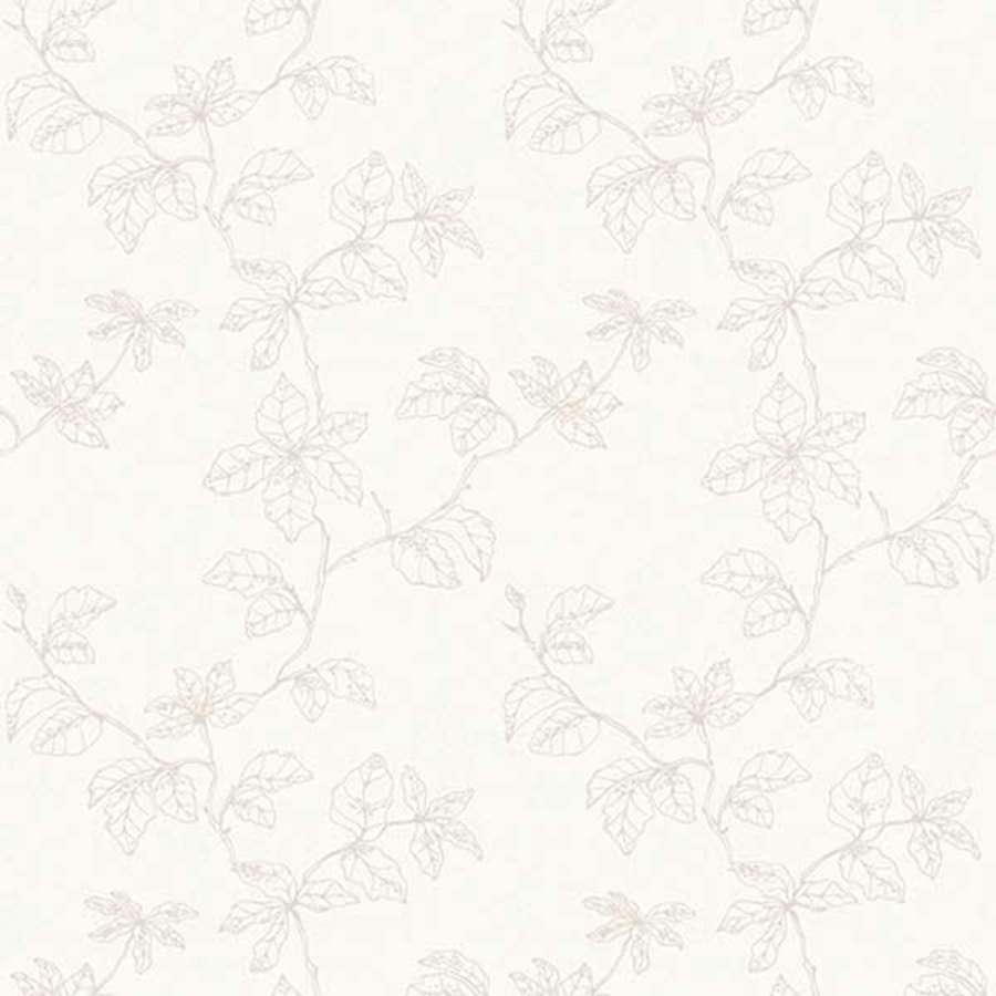 Shadow of Branches 490206