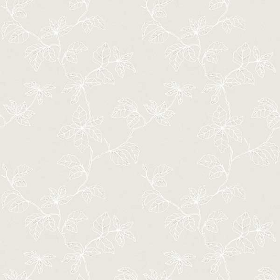 Shadow of Branches 490207