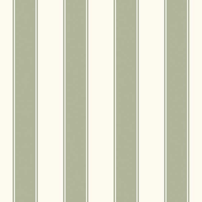 Stripes of Legacy 580542