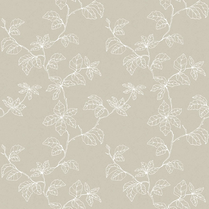 Shadows of branches 610311