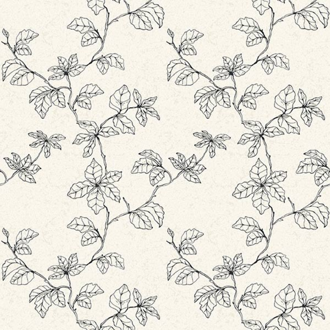 Shadows of branches 610312