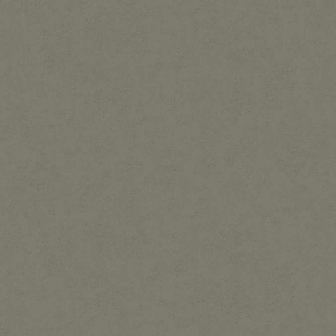 Fiona Concrete Experience 630424