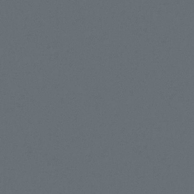 Fiona Concrete Experience 630425