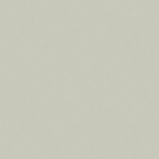 Fiona Concrete Experience 630426