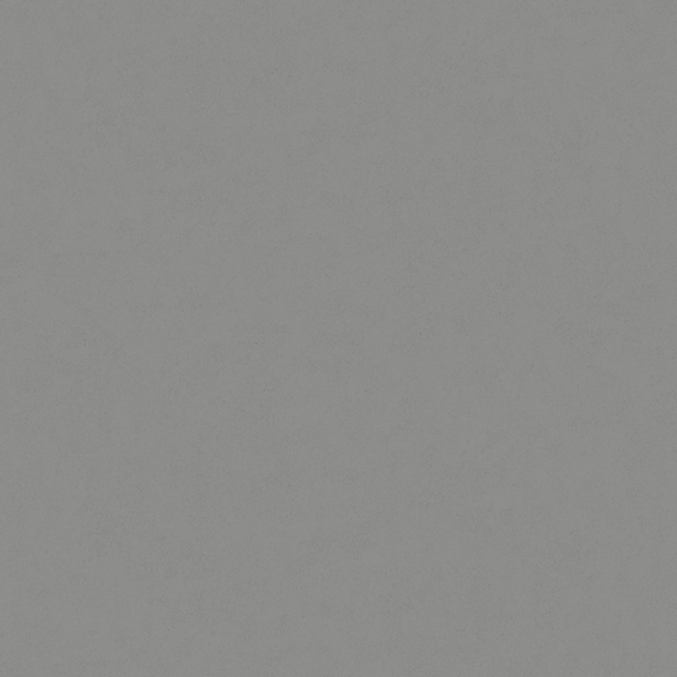 Fiona Concrete Experience 630428